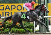 Davy Bonilla guides Tiger Master to an easy victory on Sunday.<br>Photo by Singapore Turf Club